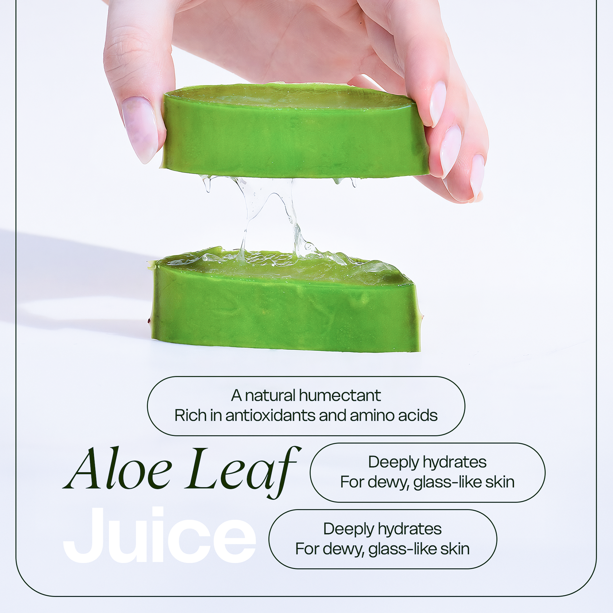 Clean & Hydrate Face Duo